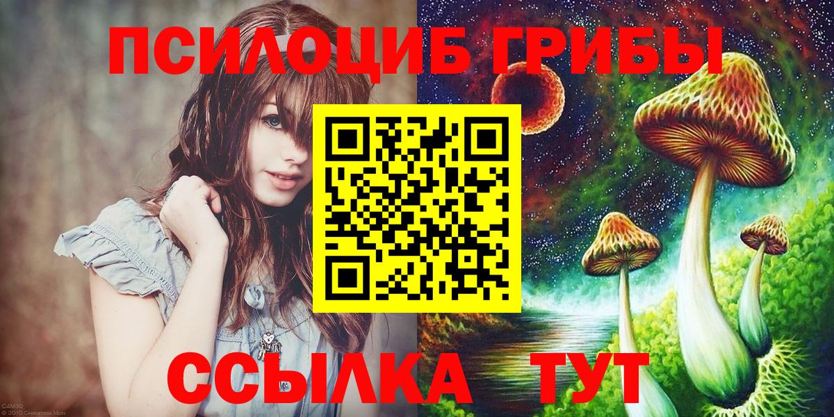 Псилоцибиновые грибы MAGIC MUSHROOMS Вологда