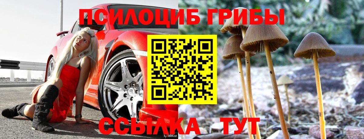 Вологда  Галлюциногенные грибы MAGIC MUSHROOMS  Вход с VPN 